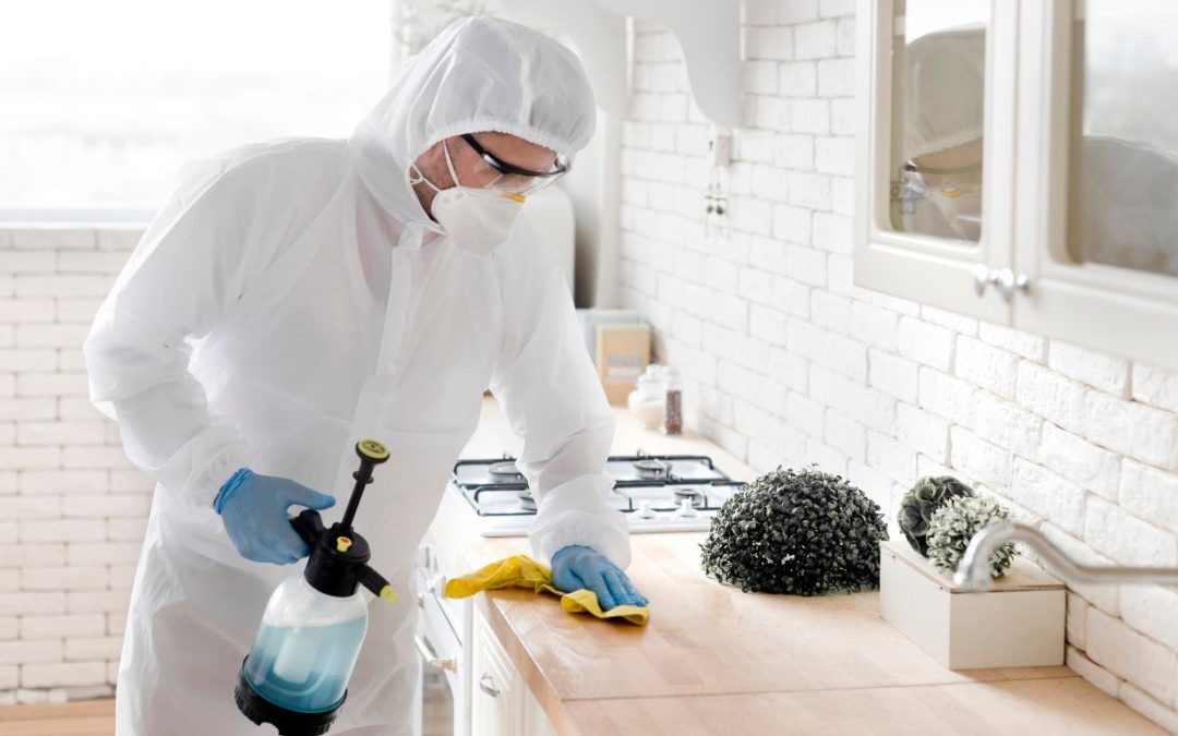 How Odor Removal in Fort Myers Turns Stinky Spaces Into Fresh Ones