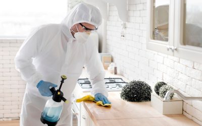 How Odor Removal in Fort Myers Turns Stinky Spaces Into Fresh Ones