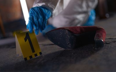 Expert Southwest Florida Police Department Cleanup Services