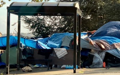 Safe Homeless Encampment Cleanup in Lehigh for Biohazards and Waste